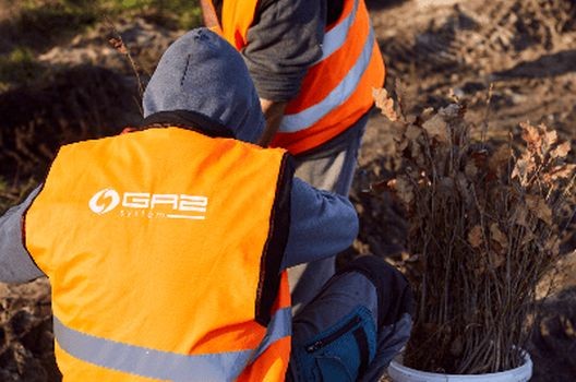 Gaz-System zasadzi drzewa w Parku Żerańskim na Białołęce