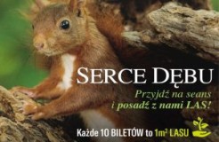 Serce Dębu - konkurs na Bemowie