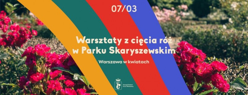 Cięcie róż w Parku Skaryszewskim - warsztaty na Pradze Południe - City Media