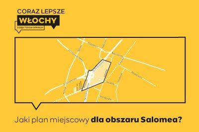Plan miejscowy dla obszaru Salomea we Włochach