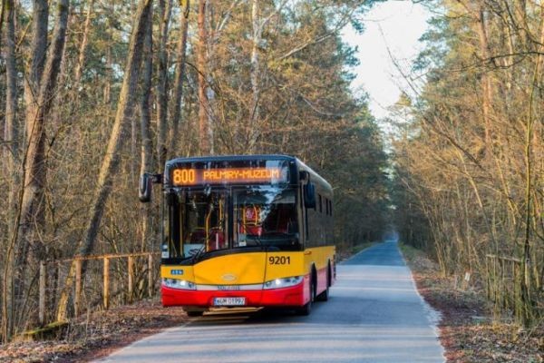 Autobusem linii 800 z Bielan do Palmir